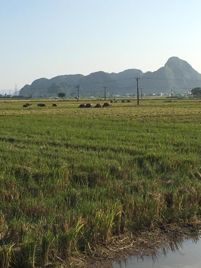 Limestone View Homestay Ninh Binh Bagian luar foto